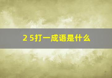 2 5打一成语是什么